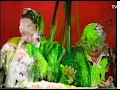 Two Mature Ladies Noel S House Party Trip Around The House Gunge Two Mature Ladies Noel S House Party Trip Around The House Gunge