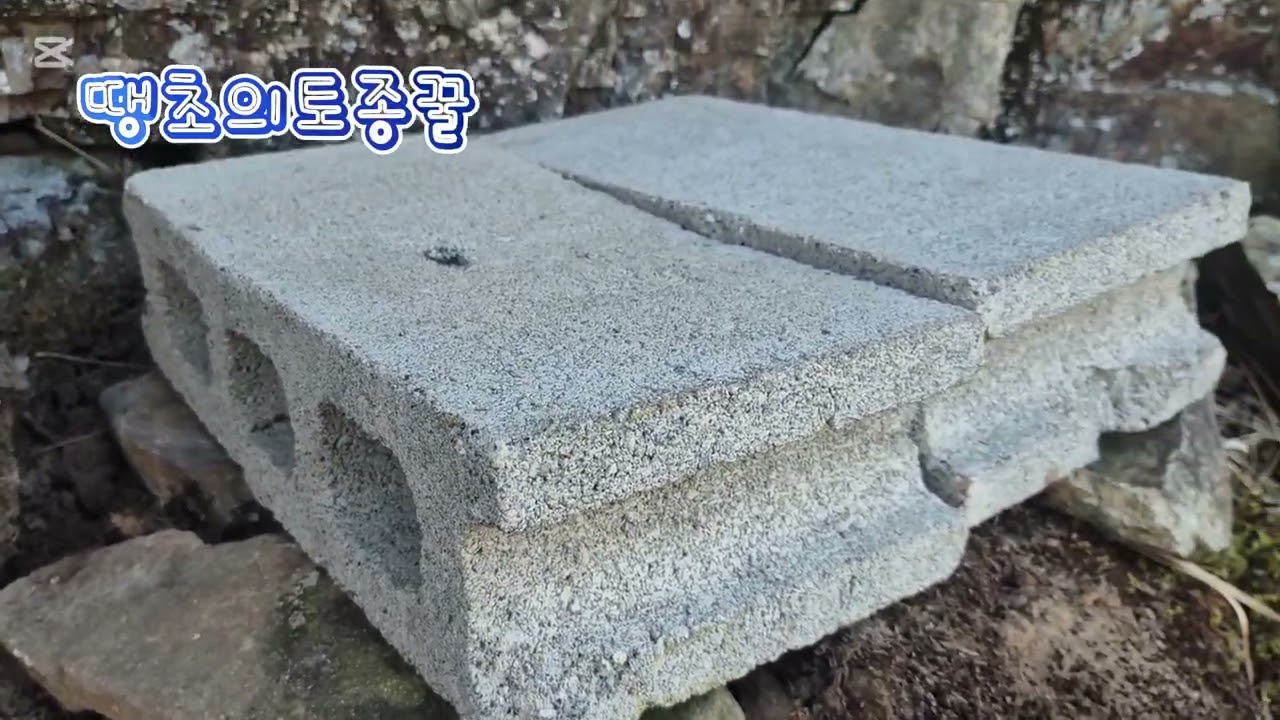 26년도 토종벌  종자벌  낙동강 주변으로 이동 하고 왔습니다 ~토종꿀 #토종벌 #토종꿀 #토종산벌 