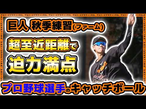 【巨人】迫力満点過ぎたプロ野球選手の超至近距離キャッチボール！ジャイアンツタウンスタジアム・ファーム秋季練習見学ハイライト｜プロ野球ニュース