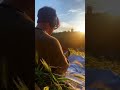 Nature.