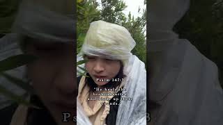 Download Lagu #elevationworship #youpickedmeup MP3