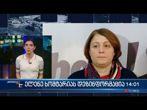 ელენე ხოშტარიას დეზინფორმაცია