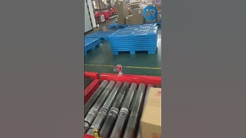 Revolutionizing E-commerce Fulfillment with Carousel Conveyor  #sortingsystem #parcelsorting