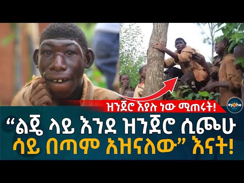 ቪዲዮ: የመደርደሪያ ክፍልን እንደ ክፍልፍል እንዴት መጠቀም እንደሚቻል