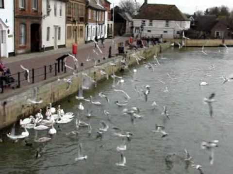 Circling Gull Blues - Linda Kelsey-Jones & Nigel Campbell Pennick