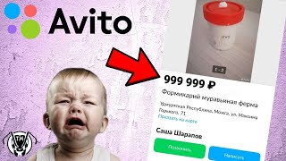 УГАРНЫЕ ОБЪЯВЛЕНИЯ НА АВИТО - ЗОЛОТАЯ БАНОЧКА??? \\ ТАПОК МИРА