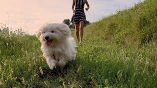 Lg Dual Inverter Heat Pump Dryer - New Standard Of Smart Drying