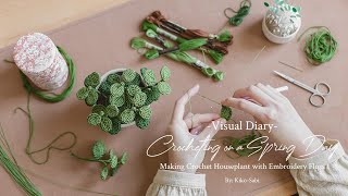 Visual Diary #21 | Crocheting on a Spring Day | Crochet Indoor Houseplant with Embroidery Threads