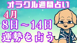 【週間占い】8日～14日の運勢を占います！/ オラクルカード第43回【ケモノVtuber/星戌セン/ #オラクルカード #占い】