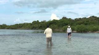Belize bonefish fly fishing. Guide Wil Flack with the hustle.