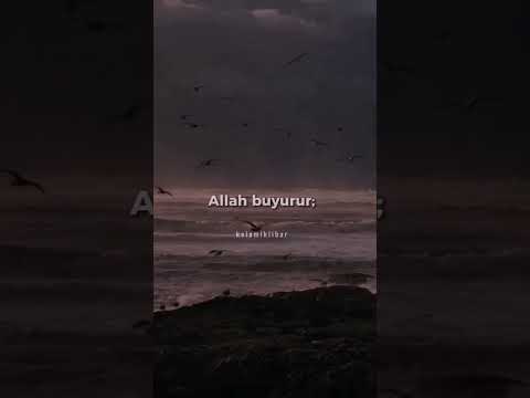 Beni kalbi kırık olanların yanında  ara #online #allahﷻ #keşfet #viral #allah #youtubeshorts -&