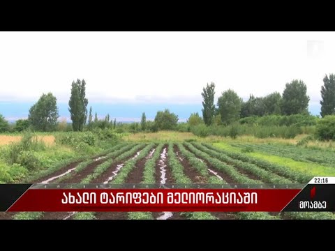 ახალი ტარიფები მელიორაციაში