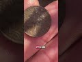 American coin. Surface Find in #tesco England #metaldetectingfinds #metaldetecting