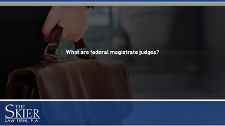 What are federal magistrate judges?