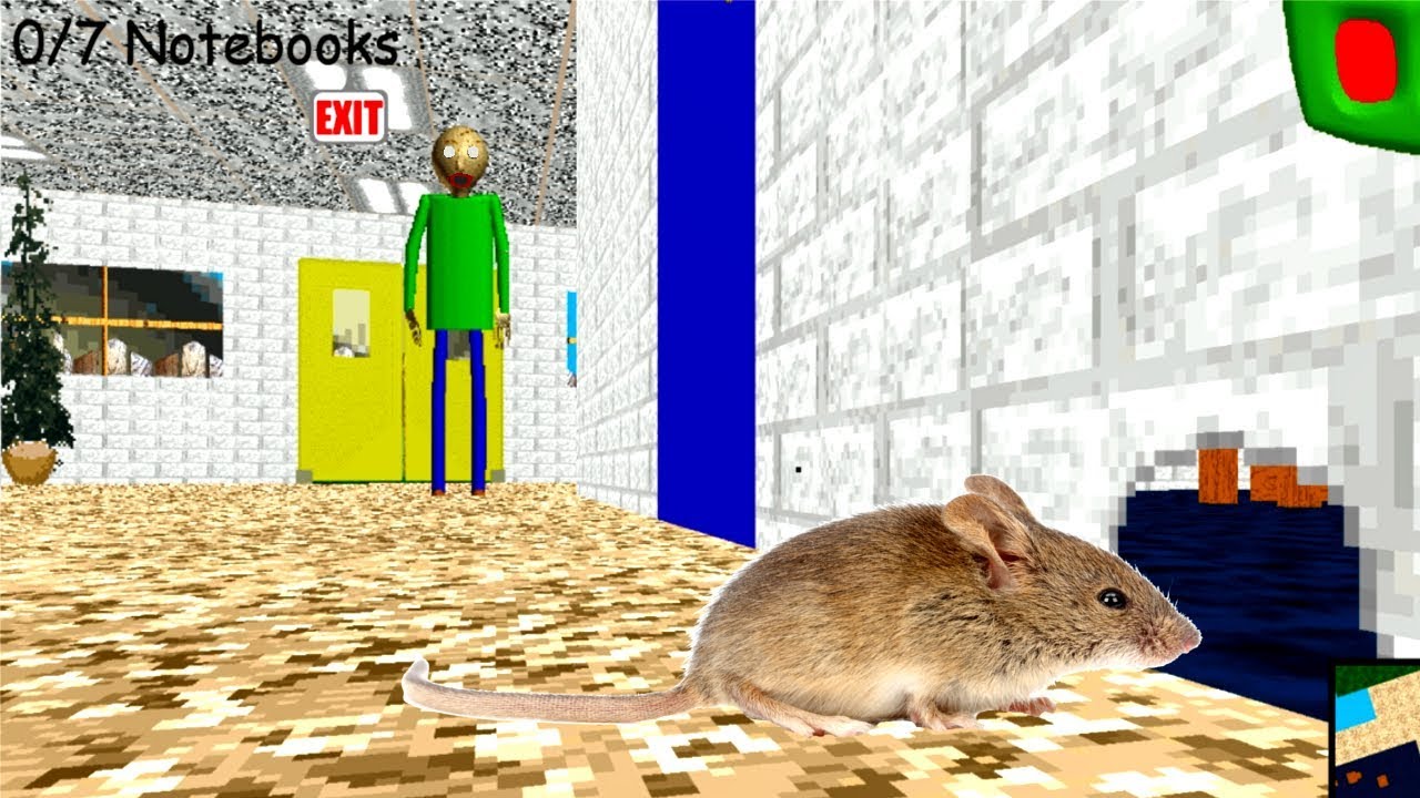 A mouse in Baldi's school !!!??? - YouTube