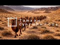 DSM Тэмээн сүргийн говь Cover Mongol Duu 