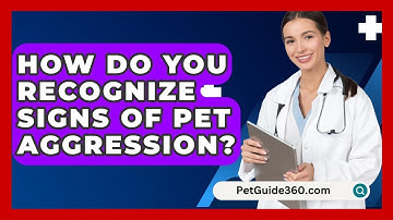 How Do You Recognize Signs Of Pet Aggression? - PetGuide360.com