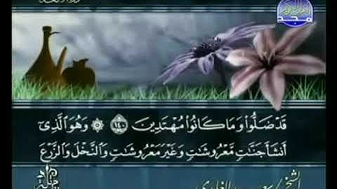 القرآن الكريم كاملا الجزء الثامن (08) بصوت الشيخ سعد الغامدي - حفظه البه