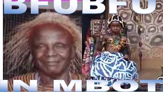 The Reincarnation: Bfubfu In Mbot
