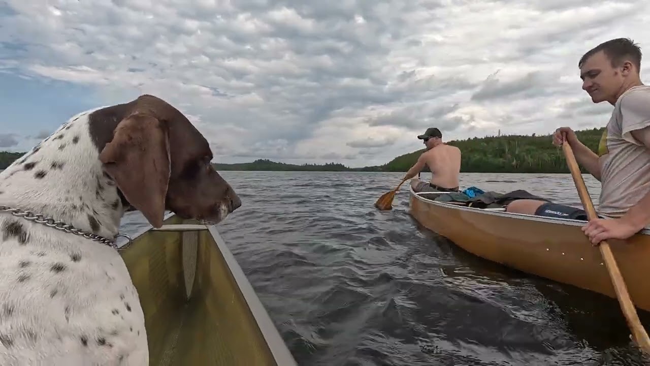 Moose lake to knife boat tip over