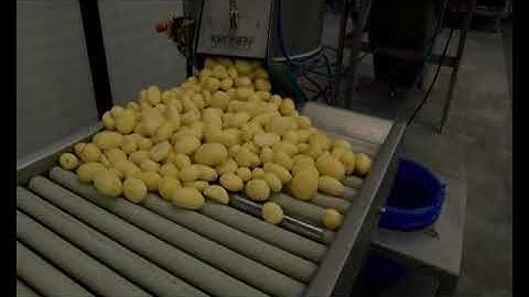 Potato processing line (automatic)