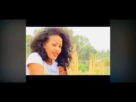 Tiemtu Gebrehiwet ALeka Do ALekado Old Tigrigna Music 