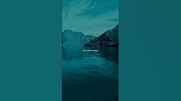 Thumbnail of WizTheMc, bees & honey - Show Me Love (Lyrics + TikTok version)