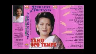 Nur Afni Octavia - Pop Jawa Tahu Opo Tempe ( Full Album )