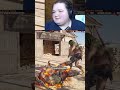 Noooo, I died... Hard mode. Assassin's Creed Odyssey. | #julia_mae1230 on #Twitch