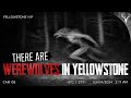 There are Werewolves in Yellowstone National Park
