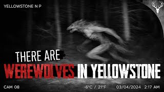 There are Werewolves in Yellowstone National Park
