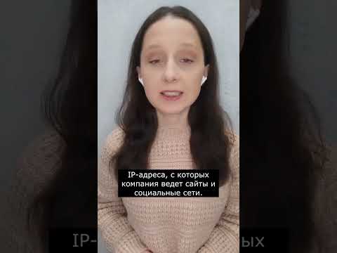 Какую информацию о компании налоговики видят в сети #главбух #новости #бухгалтер
