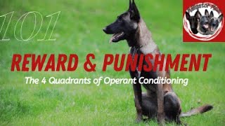 What is balanced dog training?