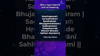 Shiva Yajur Mantra And Its Meaning  shorts shortsfeed youtbeshorts