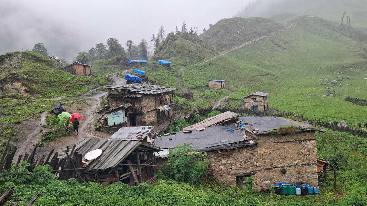 Real Nepali Mountain Village Life in the Rain 🌧️ | Peaceful Rural Lifestyle & Organic Food Cooking |