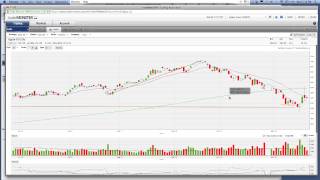 Famous OptionsANIMAL Weekly with Greg Jensen 11-21-2012 Wealth