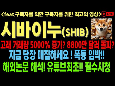   시바이누 시바이누코인 시바이누코인전망 SHIB DOGE 해외기사 논문 해석 소각률 고래 대규모 트랜잭션 급등 코인전망 비트코인 이더리움 도지코인