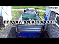 Вес поросят в 2 месяца породы дюрок/пьетрен /гибридный дюрок/продал всех поросят /сарай опустел