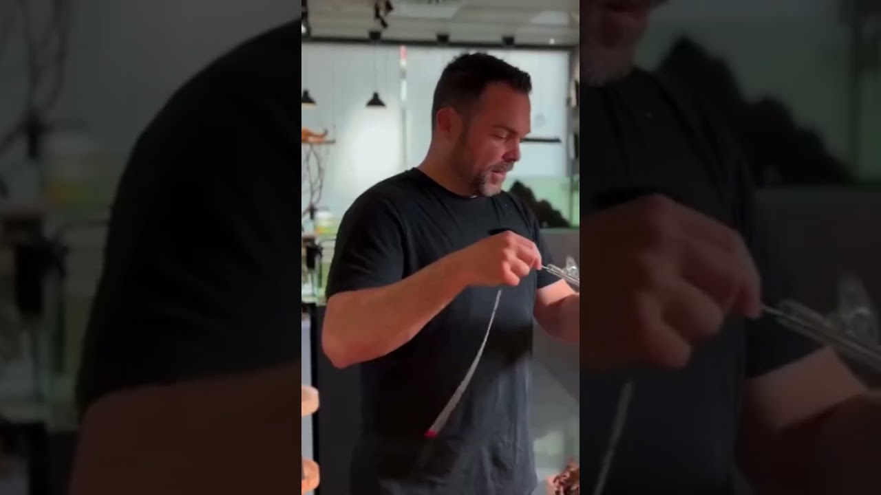 🎨 Nosotros creamos, el cliente elige ► #shorts