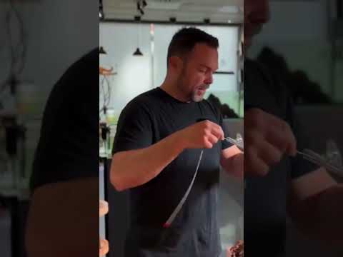 🎨 Nosotros creamos, el cliente elige ► #shorts