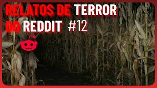 Escutei algo bizarro no milharal... | Relatos de terror (Reddit)