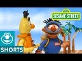 Sesame Street: Deep Sea | Bert and Ernie's Great Adventures