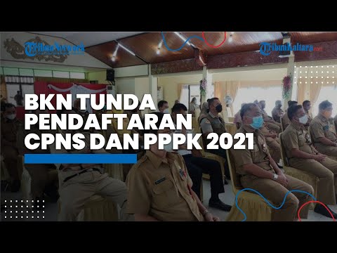 BKN Tunda Pendaftaran CPNS dan PPPK 2021, Tidak Jadi Mulai 31 Mei 2021, Ini Penjelasannya