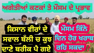 ਅਗਤ ਕਣਕ ਤ ਮਸਮ ਅਸਰ, ਹਰ ਕਨ ਦਨ ਰਹਗ ਮਸਮ ਖਰਬ , Weather Effect On Wheat Crop