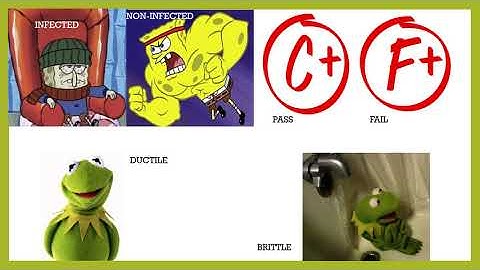 Linear Probabilistic Modeling Movie!