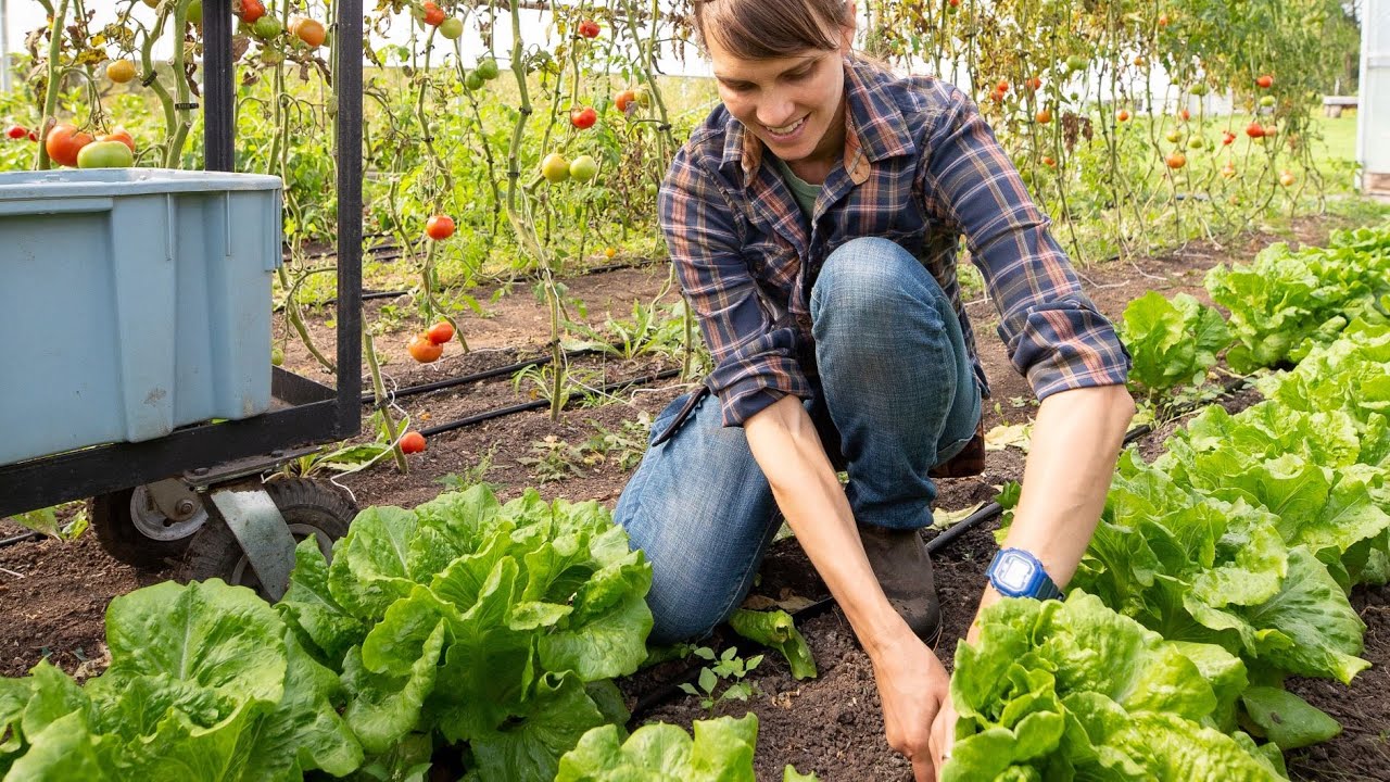 Loon Organics Farm helps other farmers learn about U of M Extension