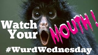 Watch Your Mouth! (WurdWednesday October  2016) by ZsjaZsjaLIVE! 292 views 7 years ago 8 minutes, 58 seconds