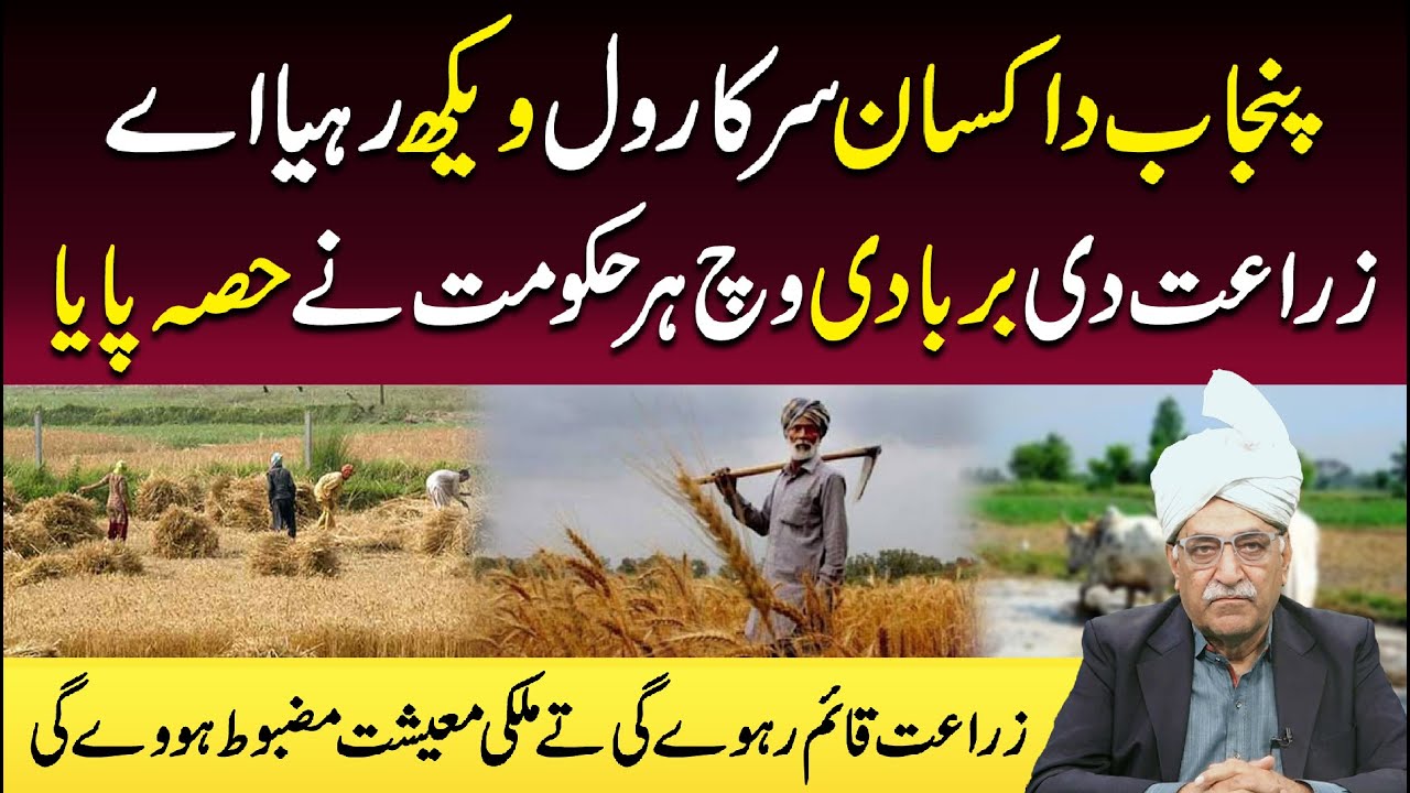 Punjab Da Kisan Sarkar Wal Wekh Rahya Ay | Zaraat Di Barbadi Wich Haqoomat Ny Hissa Paya.