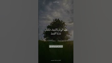 تلاوة خاشعة للقارىء عبدالله الموسى.ارح سمعك وقلبك لذكر الله .