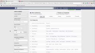 Facebook Audience Insights - Targeting A Niche